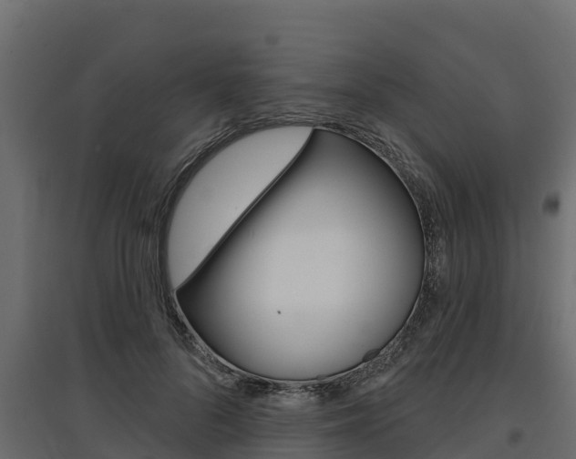 X0000097770696200803070901