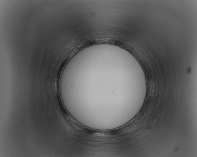 X0000097770699200803070901