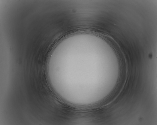 X0000097770701200803070901