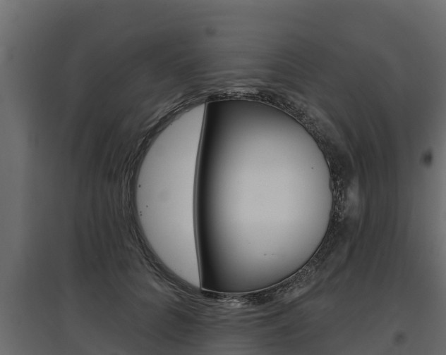 X0000097770704200803070901