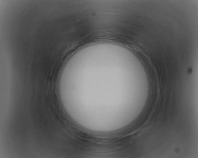 X0000097770705200803070901