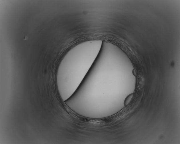 X0000097770707200803070901