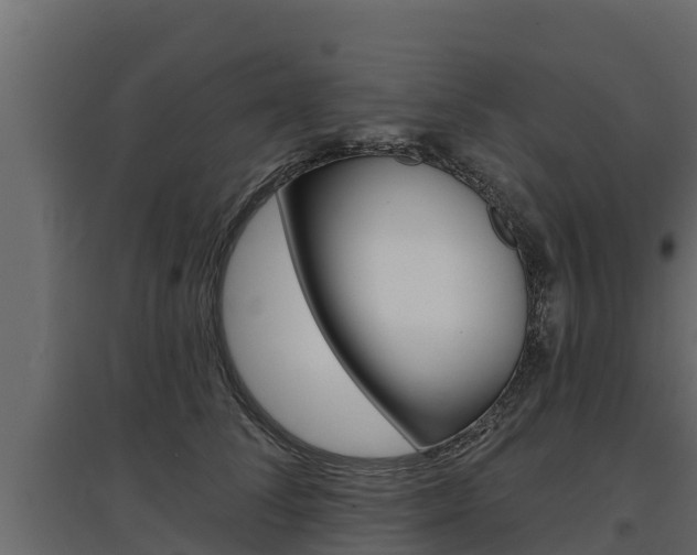 X0000097770708200803070901
