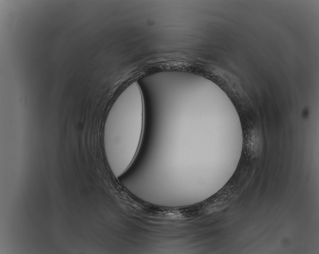 X0000097770715200803070900