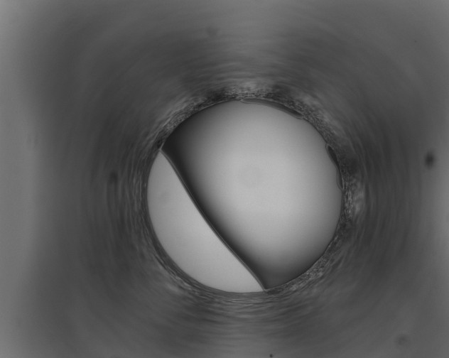 X0000097770716200803070900