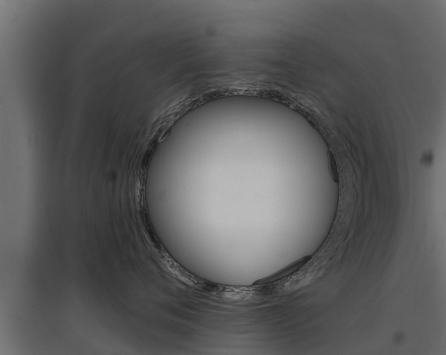 X0000097770720200803070900