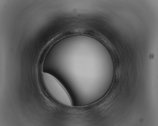 X0000097770722200803070900