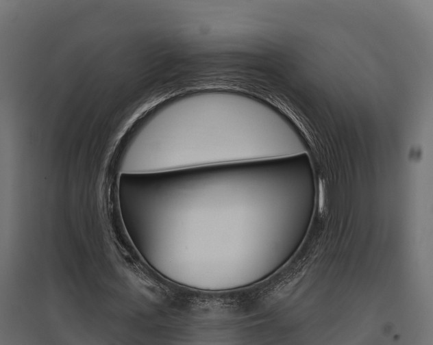 X0000097770723200803070900