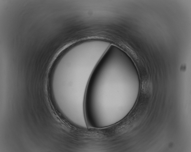 X0000097770724200803070900