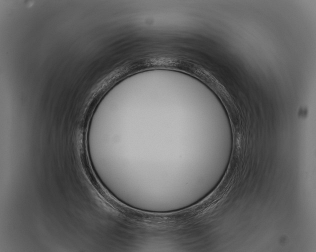 X0000097770725200803070900