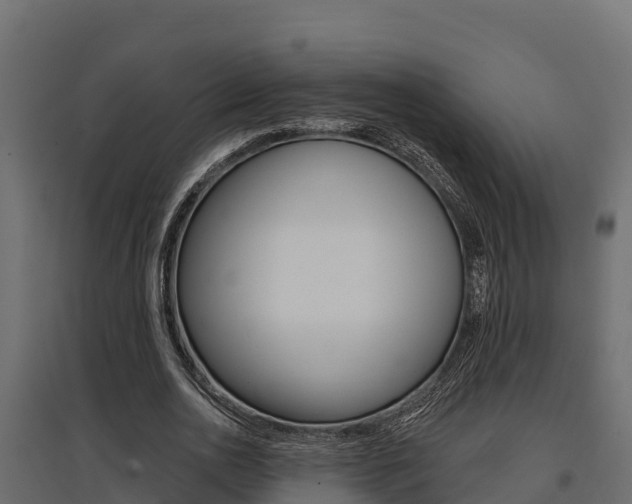 X0000097770726200803070900