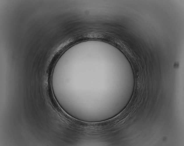 X0000097770727200803070900