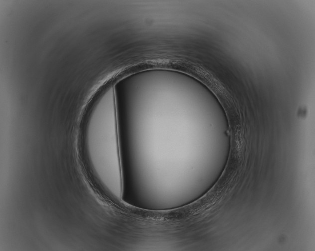 X0000097770728200803070900