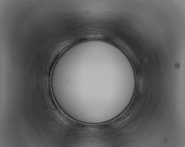 X0000097770729200803070900