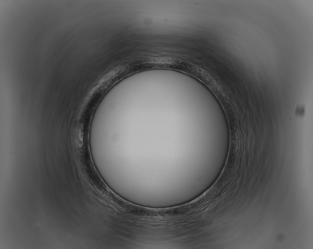 X0000097770731200803070900