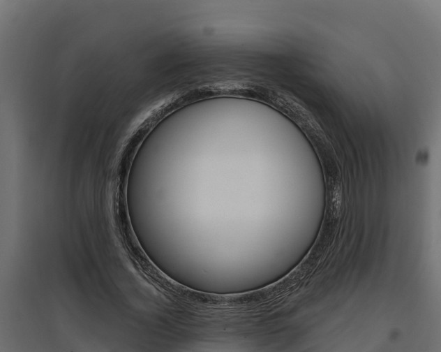 X0000097770732200803070900