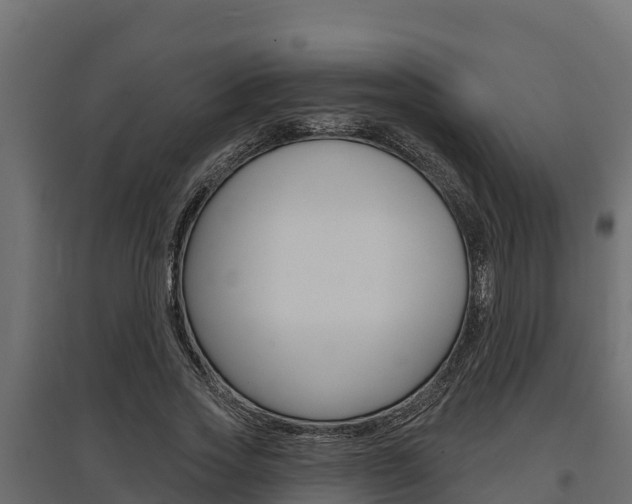 X0000097770733200803070900