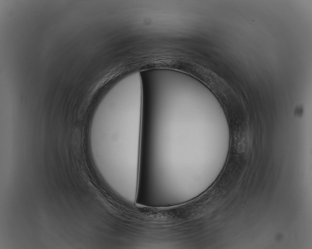 X0000097770735200803070900