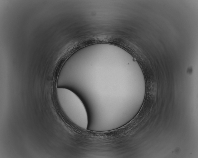 X0000097770738200803070900