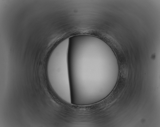 X0000097770740200803070900