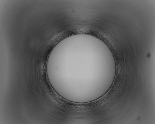 X0000097770741200803070900