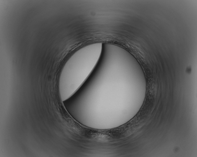 X0000097770743200803070900