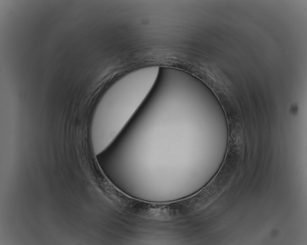 X0000097770744200803070900