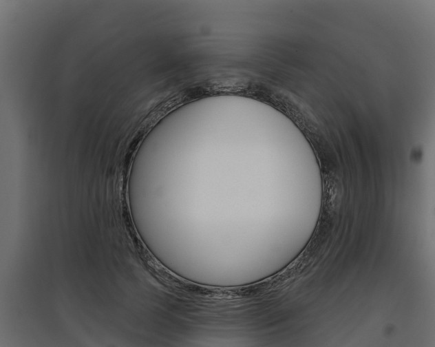 X0000097770745200803070900