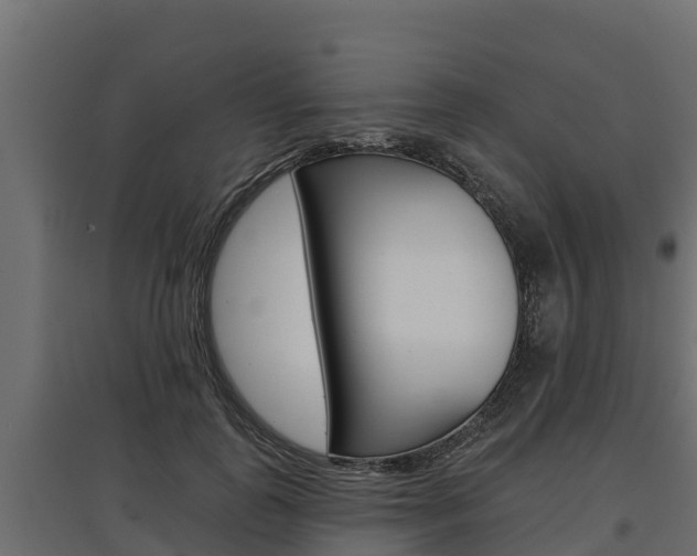 X0000097770747200803070900