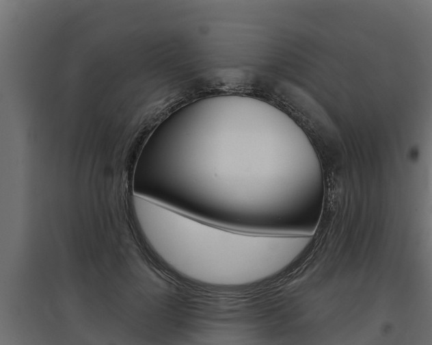X0000097770748200803070900
