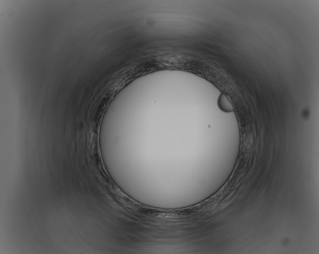 X0000097770749200803070900