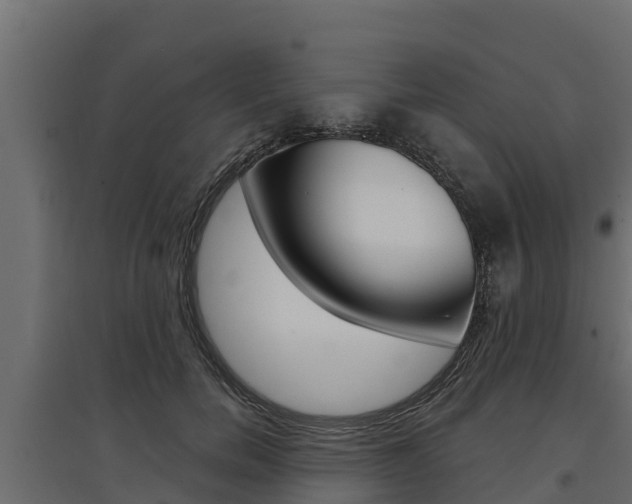 X0000097770750200803070900