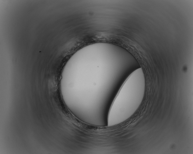 X0000097770751200803070900