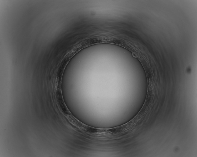 X0000097770752200803070900
