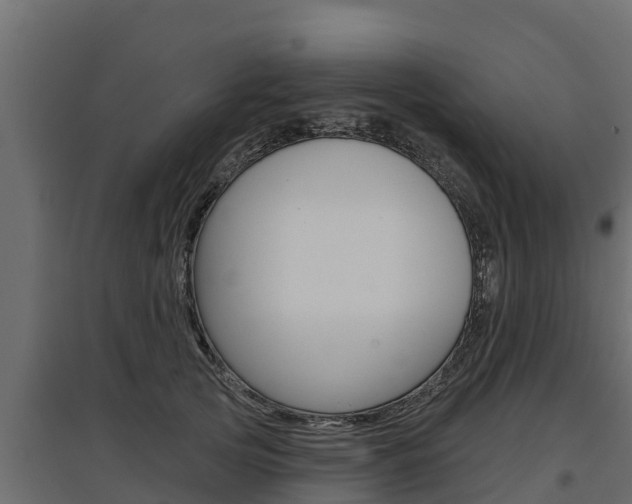 X0000097770753200803070900