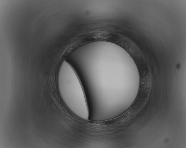 X0000097770755200803070900