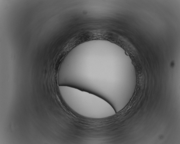 X0000097770757200803070900