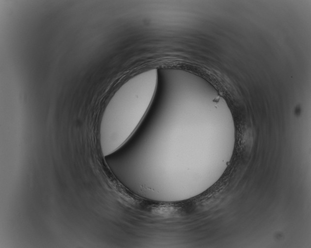 X0000097770759200803070900