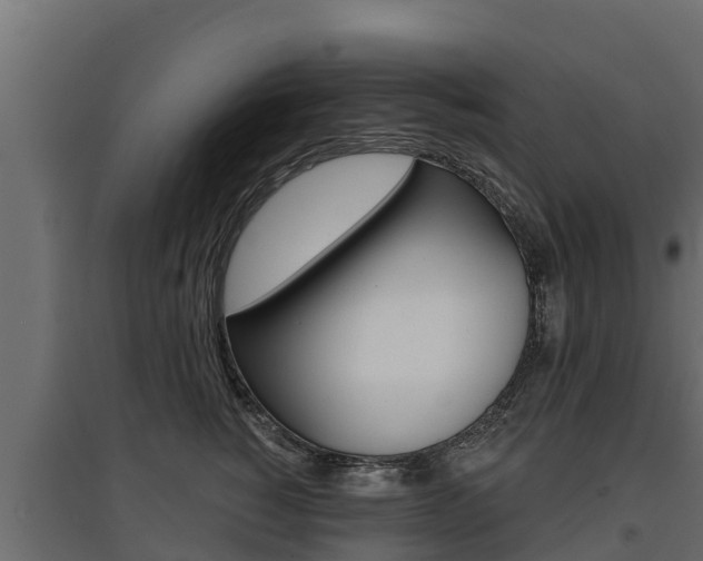 X0000097770760200803070900