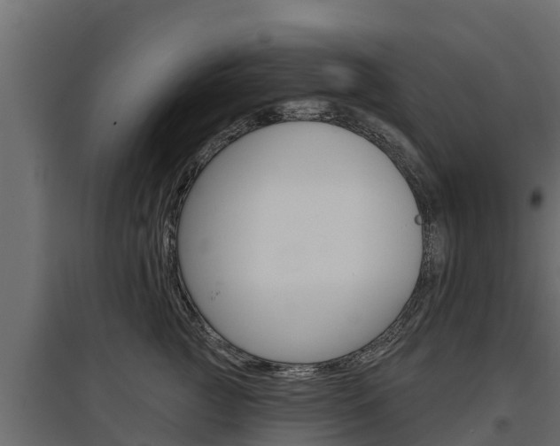 X0000097770761200803070900