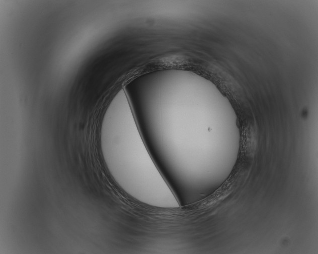 X0000097770762200803070900