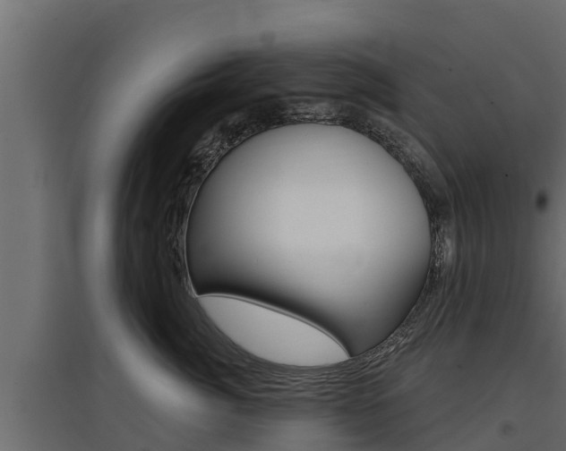 X0000097770764200803070900