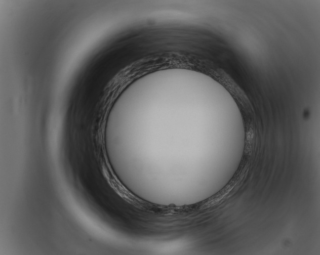 X0000097770765200803070900