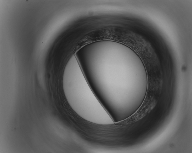 X0000097770766200803070900