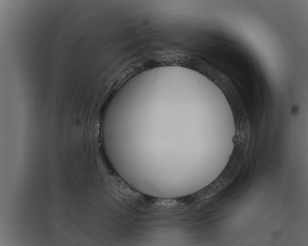 X0000097770767200803070900