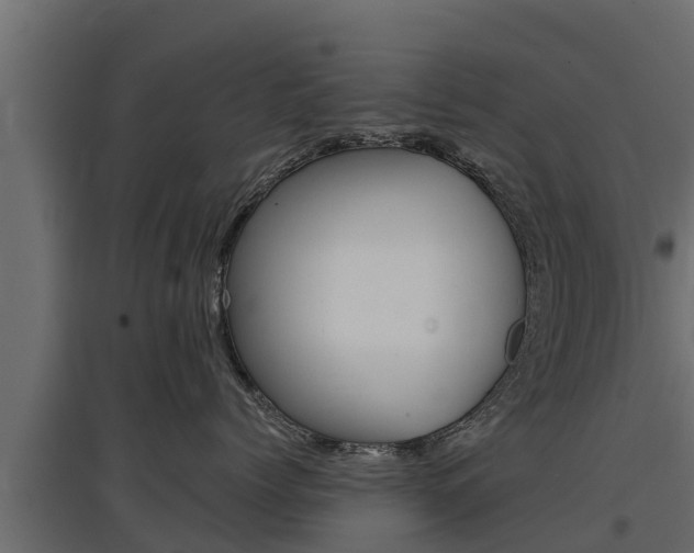 X0000097770768200803070900