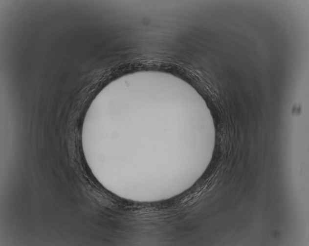 X0000097770769200803070900