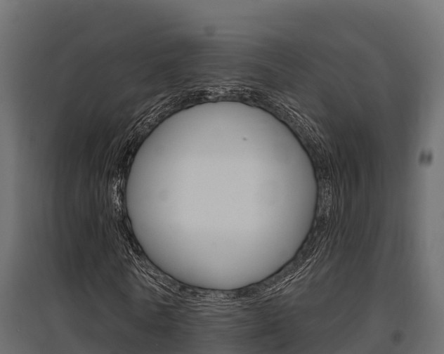 X0000097770770200803070900