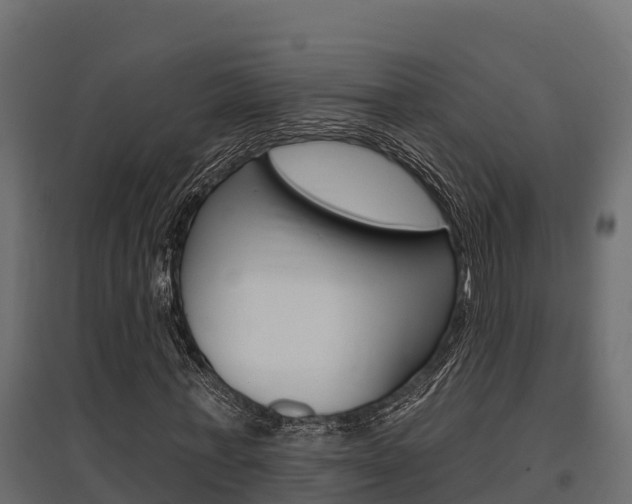 X0000097770771200803070900