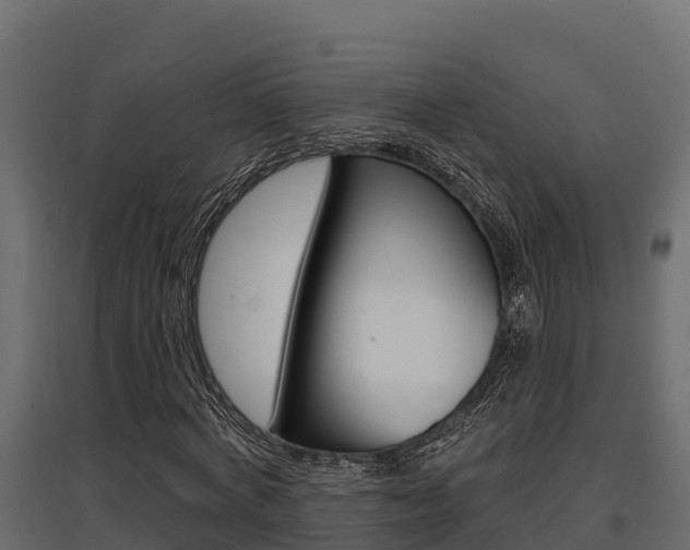 X0000097770772200803070900
